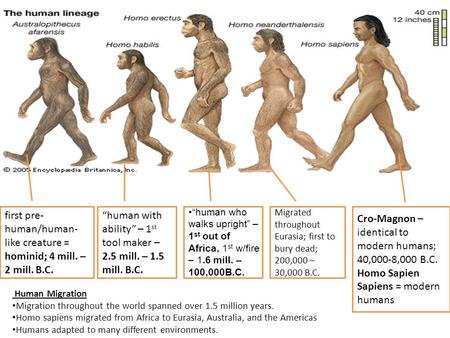 First pre- human/human- like creature = hominid; 4 mill. – 2 mill. B.C. “human with ability” – 1 st tool maker – 2.5 mill. – 1.5 mill. B.C. Migrated throughout.