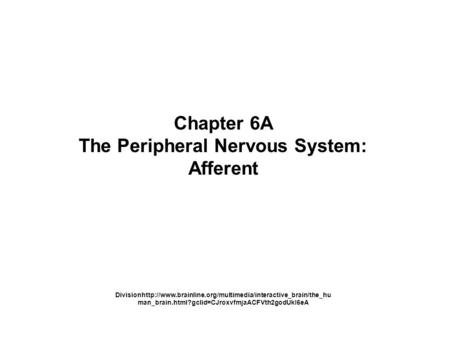 Chapter 6A The Peripheral Nervous System: Afferent Divisionhttp://www.brainline.org/multimedia/interactive_brain/the_hu man_brain.html?gclid=CJroxvfmjaACFVth2godUkI6eA.