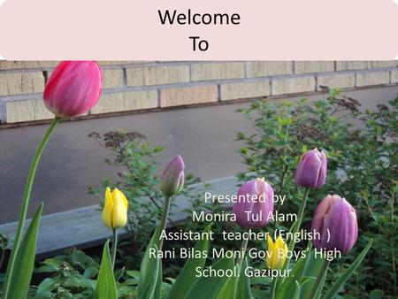 Welcome To Presented by Monira Tul Alam Assistant teacher (English ) Rani Bilas Moni Gov Boys’ High School. Gazipur.