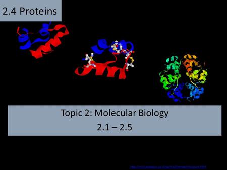 Topic 2: Molecular Biology 2.1 – 2.5 2.4 Proteins