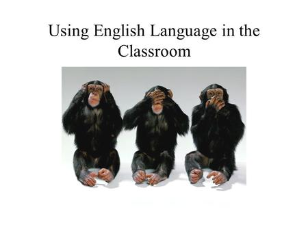 Using English Language in the Classroom. THE CLASSROOM.