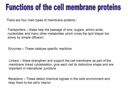 There are four main types of membrane proteins:- Transporters – these help the passage of ions, sugars, amino acids, nucleotides and many other metabolites.