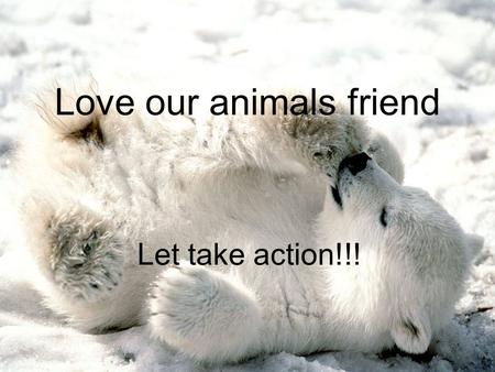 Love our animals friend Let take action!!!. animal Polar bears problem Many polar bears are facing a big problem. It is going to become extinct. But what.