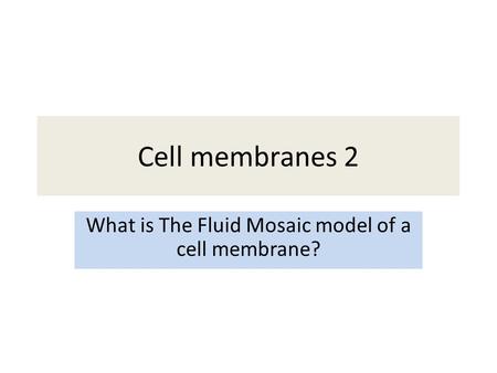 Cell membranes 2 What is The Fluid Mosaic model of a cell membrane?