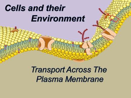 Let’s look at one example involving osmosis. Osmosis is the diffusion of water across a semi permeable membrane such as a cell membrane. A semi permeable.