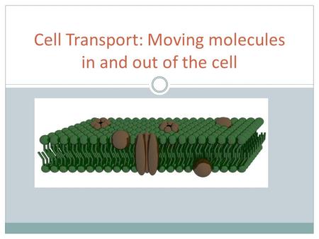 Cell Transport: Moving molecules in and out of the cell.