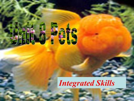 Integrated Skills 学习目标 1. 知识目标 : 重点单词 : weigh, talk, noise 重点短语 : put…in the sun, pick them up with your hands, once a day, grow up to be…, weigh up.