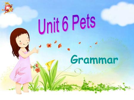 Unit 6 Pets Grammar.