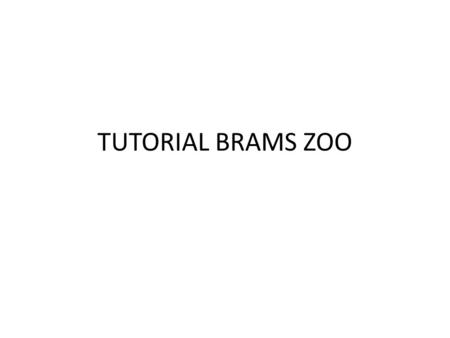 TUTORIAL BRAMS ZOO. What is a meteoroid? A meteoroid is a solid object moving in interplanetary space, of a size considerably smaller than an asteroid.