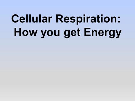Cellular Respiration: How you get Energy. Review: Producers  Producers get their energy from the sun.  Producers convert this light energy into stored.