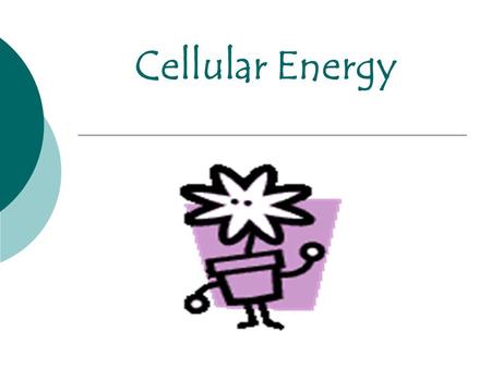 Cellular Energy.