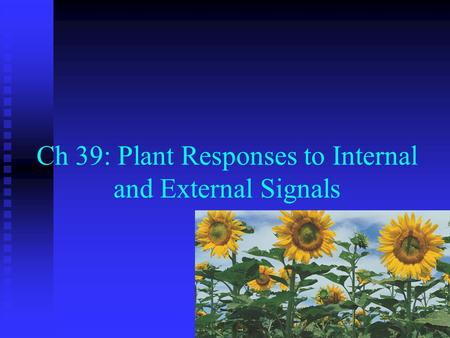 Ch 39: Plant Responses to Internal and External Signals