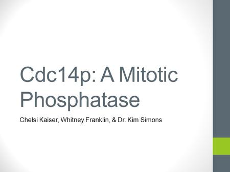 Cdc14p: A Mitotic Phosphatase Chelsi Kaiser, Whitney Franklin, & Dr. Kim Simons.