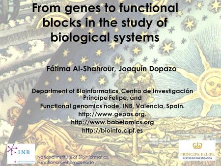 From genes to functional blocks in the study of biological systems Fátima Al-Shahrour, Joaquín Dopazo National Institute of Bioinformatics, Functional.