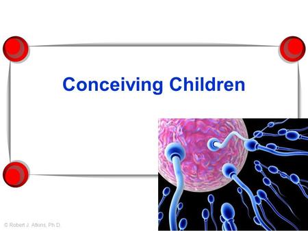 Conceiving Children © Robert J. Atkins, Ph.D.. When am I most fertile?  Fertility peaks around 20 – 24 years.