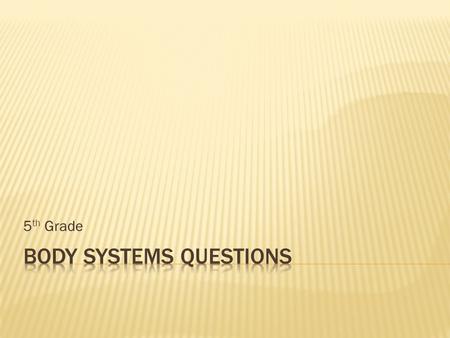 Body Systems Questions