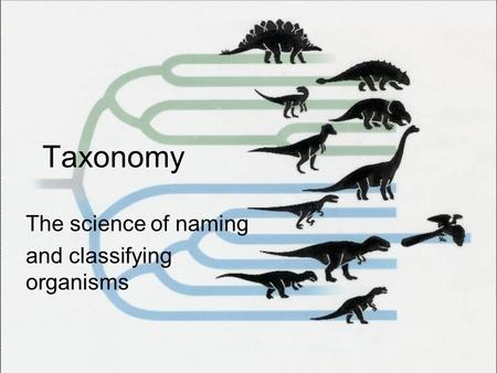 Taxonomy The science of naming and classifying organisms.