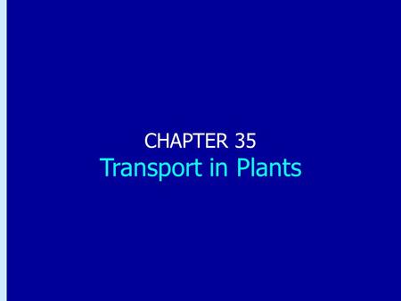 Chapter 35: Transport in Plants CHAPTER 35 Transport in Plants.