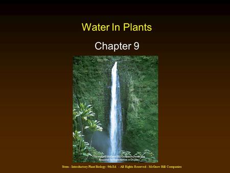 Stern - Introductory Plant Biology: 9th Ed. - All Rights Reserved - McGraw Hill Companies Water In Plants Chapter 9 Copyright © McGraw-Hill Companies Permission.