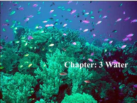 Copyright © 2005 Pearson Education, Inc. publishing as Benjamin Cummings Chapter: 3 Water.