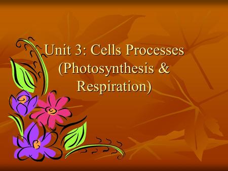 Unit 3: Cells Processes (Photosynthesis & Respiration)
