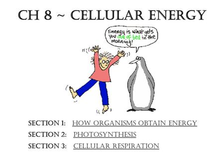 Ch 8 ~ Cellular Energy Section 1: How Organisms Obtain Energy