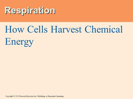 Copyright © 2005 Pearson Education, Inc. Publishing as Benjamin Cummings Respiration How Cells Harvest Chemical Energy.