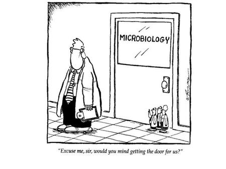 Microbes The Scope of Microbiology Microbiology: The study of living things too small to be seen without magnification –Microorganisms or microbes- microscopic.