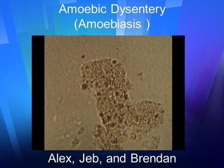 Amoebic Dysentery (Amoebiasis ) Alex, Jeb, and Brendan