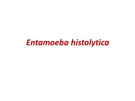 Entamoeba histolytica. Differentiation of amoebic and bacillary dysentery.