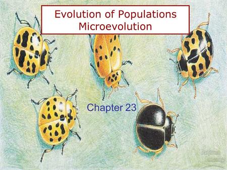 Evolution of Populations Microevolution Chapter 23.