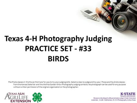 Texas 4-H Photography Judging PRACTICE SET - #33 BIRDS The Photo classes in this Power Point are for you to try your judging skills. Select a class to.