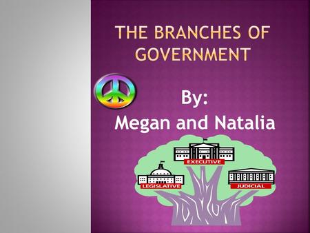By: Megan and Natalia.  The person that runs the executive branch is the president  The job of the executive branch is to make sure that laws are carried.