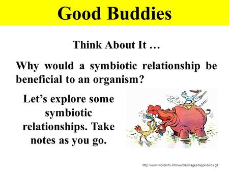 Good Buddies Think About It … Why would a symbiotic relationship be beneficial to an organism?  Let’s.