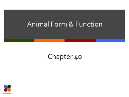 Animal Form & Function Chapter 40. Slide 2 of 29 Chapter 40 – Basic Principles  Cells  Tissues  Organs  Organ Systems  Tissues – groups of cells.