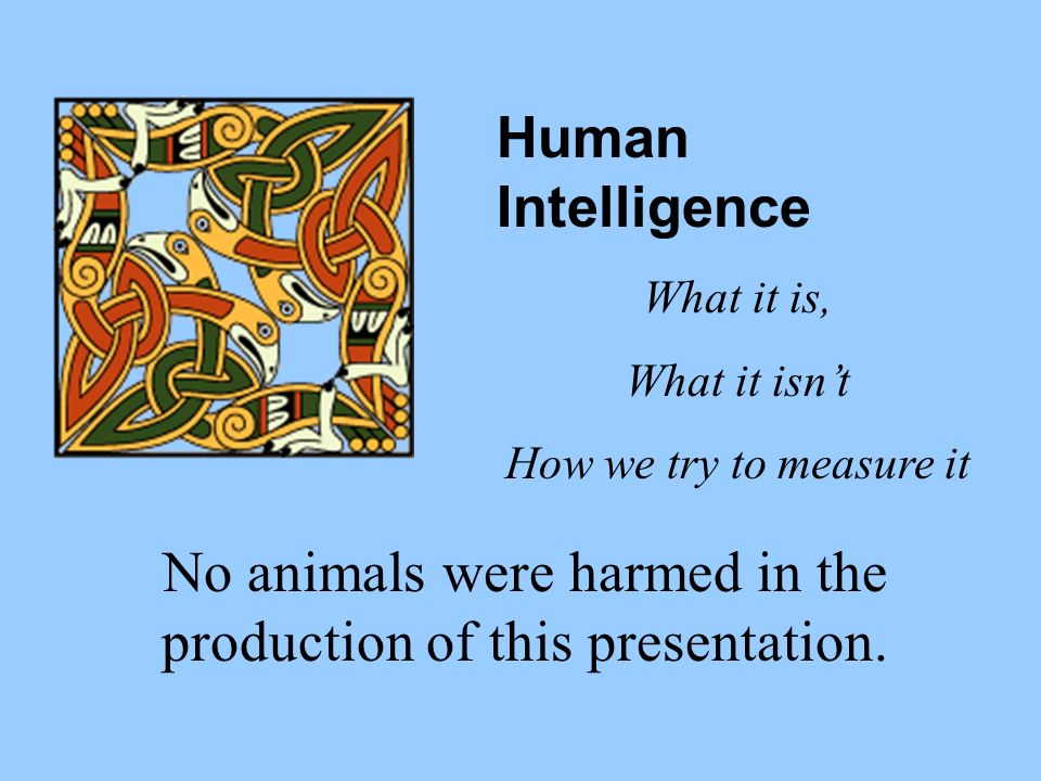 No animals were harmed in the production of this presentation. - ppt download No animals were harmed in the production of this presentation. - ppt download