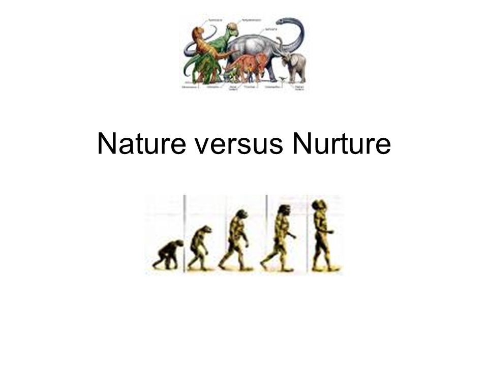 nature vs nurture in child development essay