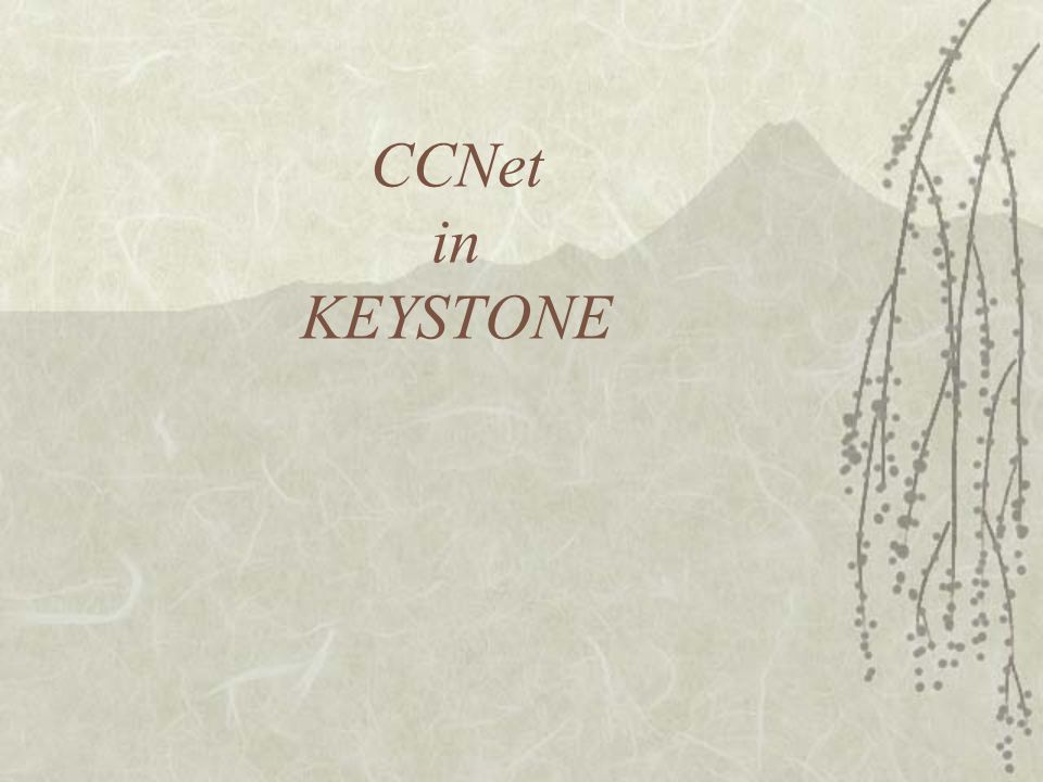 Ccnet In Keystone From Ccnet External Review October 09 Ccnet S Role As Reported By Review Groups And By Consumers Commenting On Reviews Protocols Ppt Download