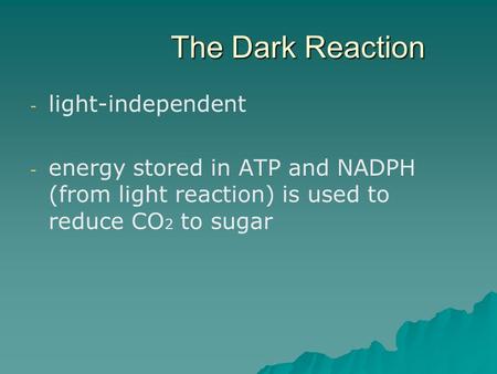 The Dark Reaction - - light-independent - - energy stored in ATP and NADPH (from light reaction) is used to reduce CO 2 to sugar.