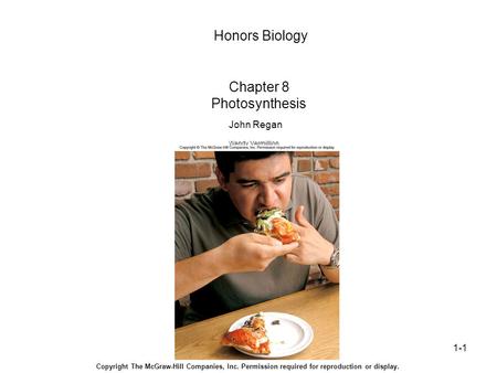 1-1 Honors Biology Chapter 8 Photosynthesis John Regan Wendy Vermillion Columbus State Community College Copyright The McGraw-Hill Companies, Inc. Permission.
