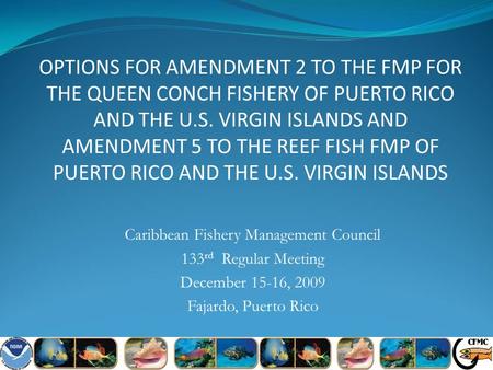 OPTIONS FOR AMENDMENT 2 TO THE FMP FOR THE QUEEN CONCH FISHERY OF PUERTO RICO AND THE U.S. VIRGIN ISLANDS AND AMENDMENT 5 TO THE REEF FISH FMP OF PUERTO.