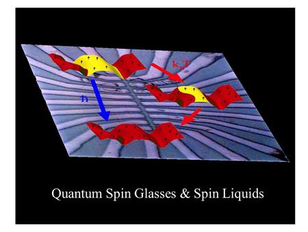 Quantum Spin Glasses & Spin Liquids.  QUANTUM RELAXATION Ising Magnet in a Transverse Magnetic Field (1) Aging in the Spin Glass (2) Erasing Memories.