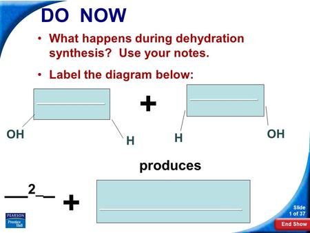 End Show Slide 1 of 37 DO NOW What happens during dehydration synthesis? Use your notes. Label the diagram below: __________ H OH H __________ + _____________________.