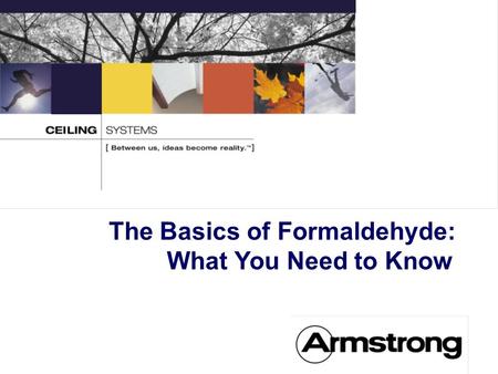 The Basics of Formaldehyde: What You Need to Know.