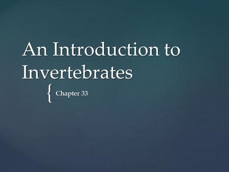 An Introduction to Invertebrates