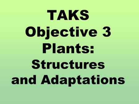 TAKS Objective 3 Plants: Structures and Adaptations.