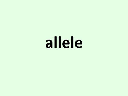Allele. Alternate form of a gene gene variant autosome.