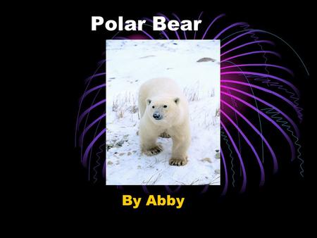 Polar Bear By Abby Mammal Polar bears are mammals because they have hair and they give birth to live babies.