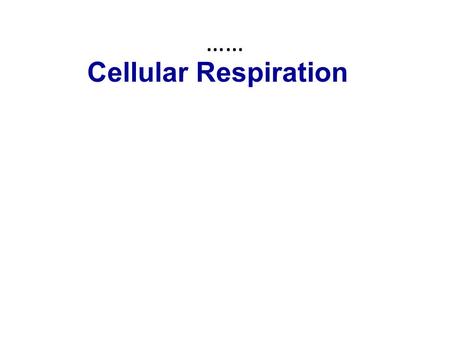 …… Cellular Respiration.