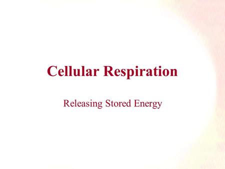 Cellular Respiration Releasing Stored Energy. Harvesting Chemical Energy  Autotrophs like plants and cyanobacteria use photosynthesis to change the sun’s.